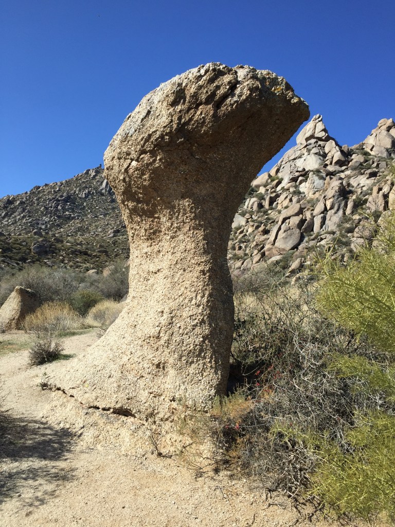 How do you form a mushroom rock? – Emily Zawacki, Ph.D.