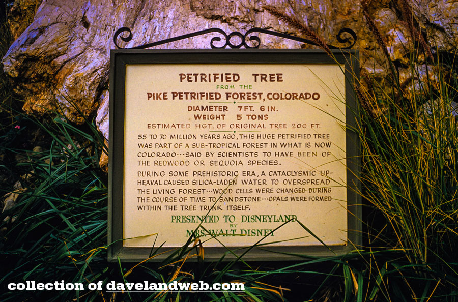 Wooden sign in front of Disneyland's petrified tree circa 1960