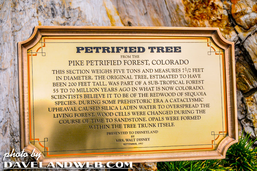 Current metal plaque in front of Disneyland's petrified tree
